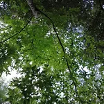Tre Metr Sopra Il Cielo 