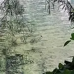 Tre Metr Sopra Il Cielo 