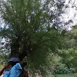 Tre Metr Sopra Il Cielo 