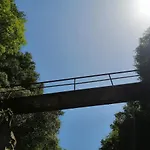 Tre Metr Sopra Il Cielo 
