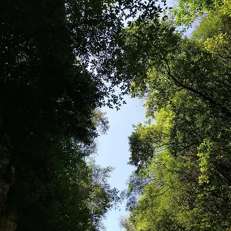 Tre Metr Sopra Il Cielo 